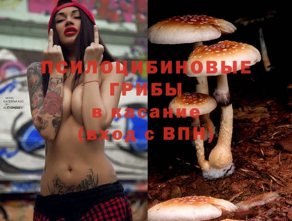 гашик Горнозаводск