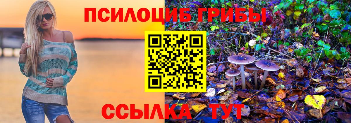 Галлюциногенные грибы Magic Shrooms Елец