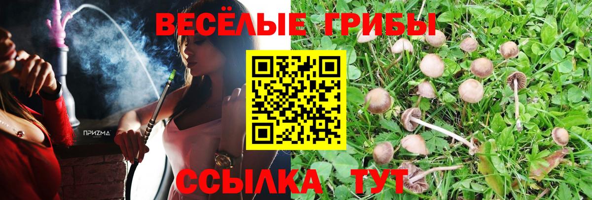 Елец  Галлюциногенные грибы ЛСД  Вход с VPN  Галлюциногенные грибы мицелий 