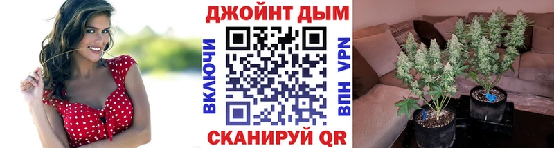 Бошки марихуана VHQ  где продают наркотики  Елец 